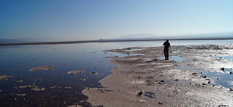 cambio climatico en Topocalma